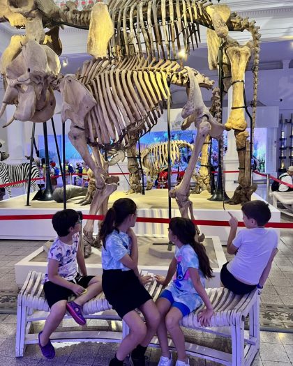 montessima educational