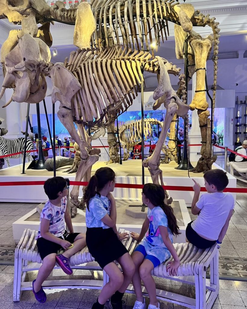 montessima educational