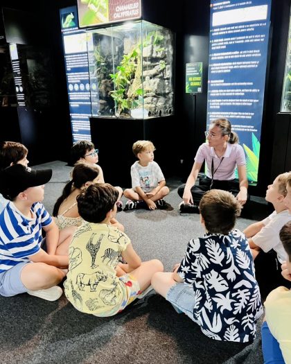 montessima educational