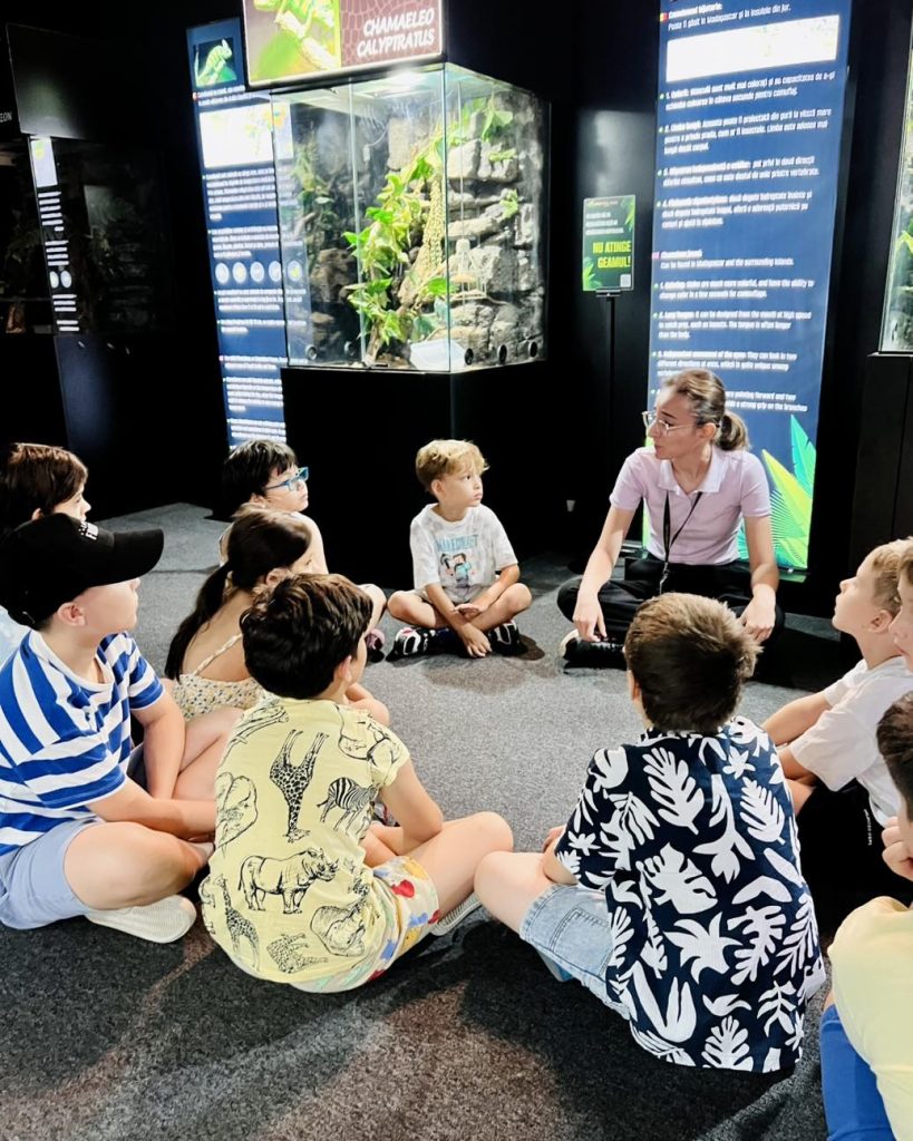 montessima educational