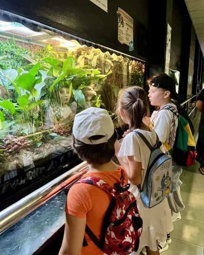 montessima educational