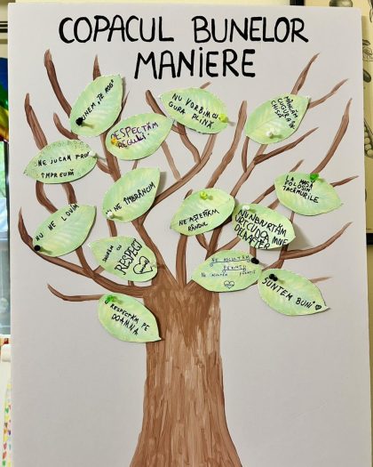 montessima educational